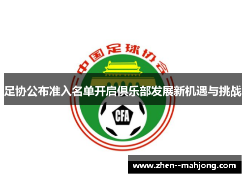 足协公布准入名单开启俱乐部发展新机遇与挑战