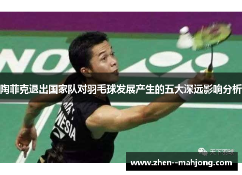 陶菲克退出国家队对羽毛球发展产生的五大深远影响分析 陶菲克退出国家队对羽毛球发展产生的五大深远影响分析